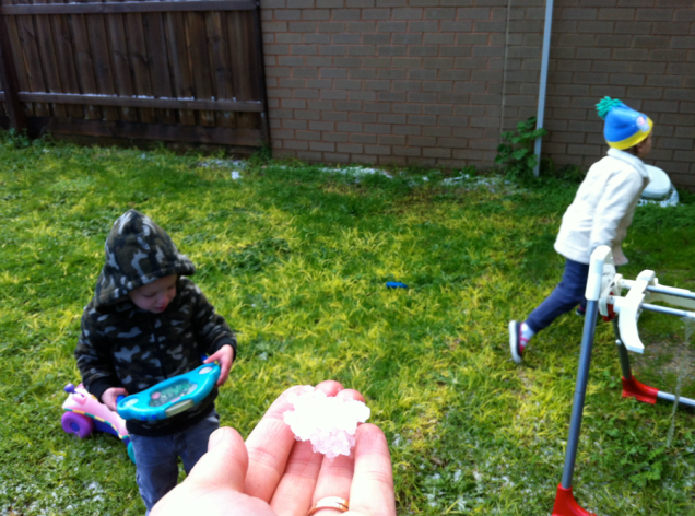 It’s August and winter. We still can’t quite get our minds around that seeming paradox. How do we enjoy it? We take a 5-minute hailstorm and turn it into an opportunity to play in the back yard and make tiny “snowballs.” 